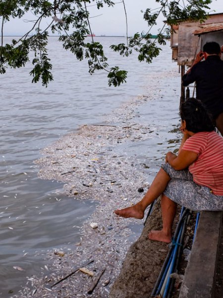 White Beaches and Dead Fishes: The Beautification of Manila&nbsp;Bay